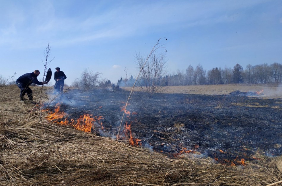 Žolės padegėjai stebimi dronais, pažeidėjams skiriamos baudos