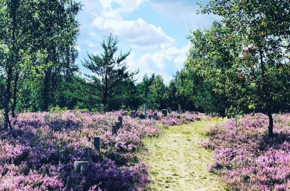 Gyventojai stoja ginti savo teisių į Dumsių kopos lankymą: platinama peticija