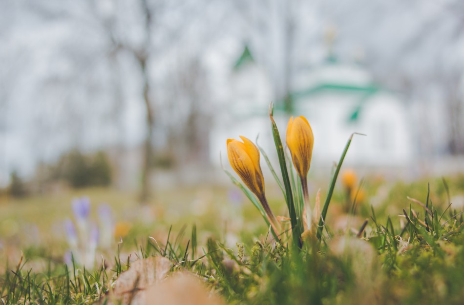Užusalių bendruomenės iniciatyva viršijo lūkesčius: šiemet mūsų Šv. Velykos bus gražios ir spalvotos