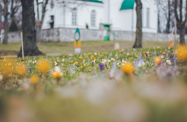 Užusalių bendruomenės iniciatyva viršijo lūkesčius: šiemet mūsų Šv. Velykos bus gražios ir spalvotos