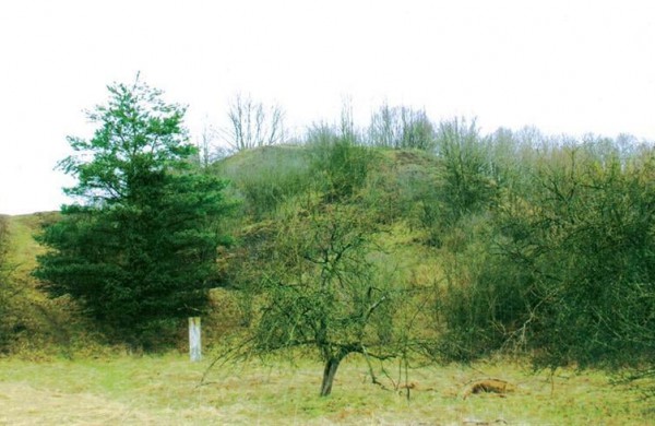 Sutvarkytas Milžinų kalnas Jonavos rajone