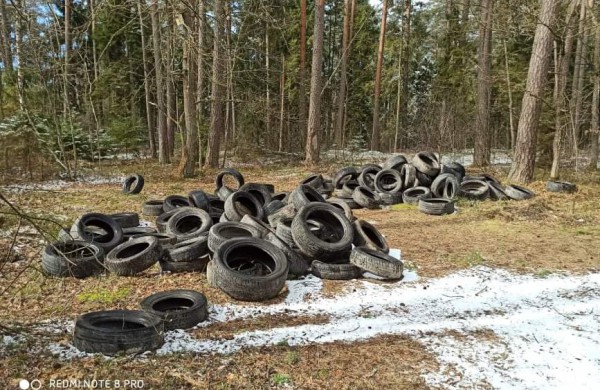 Miškininkai jau pajuto padangų keitimo sezoną: renka gyventojų išmestas padangas