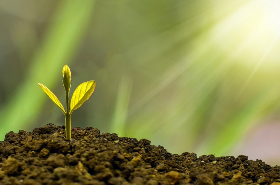 Geros žinios ekologiškai ūkininkaujantiems