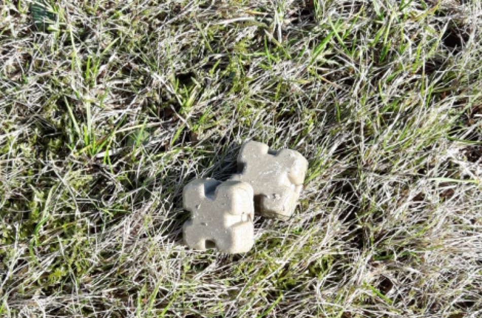 Prasideda pavasarinė laukinių gyvūnų vakcinacija nuo pasiutligės