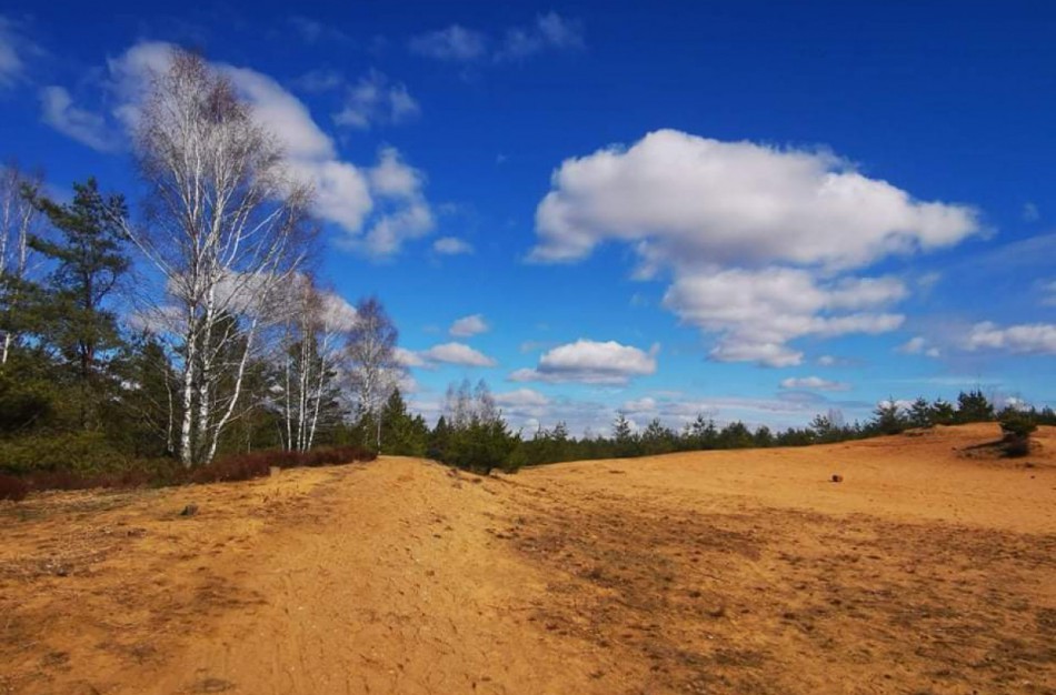 Kviečia į protesto akciją dėl Dumsių kopos