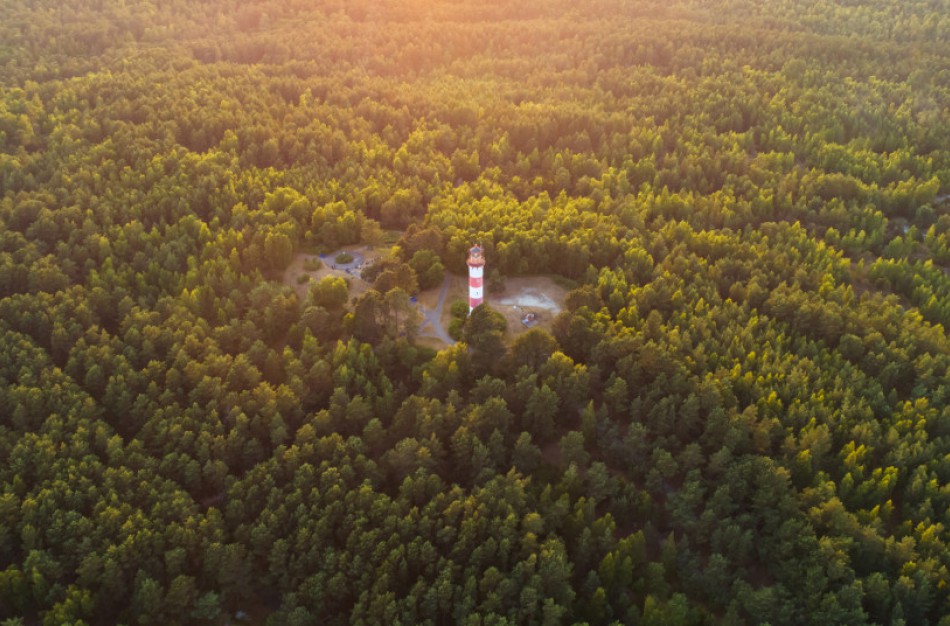 Nacionalinio miškų susitarimo startas: kaip ieškosime bendro sprendimo dėl miškų ateities
