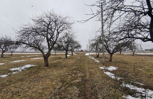 Sodybos su sklypu Normainių I k. 2, Žeimių sen., Jonavos r., pardavimo aukcionas