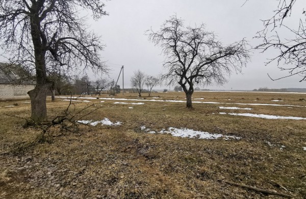 Sodybos su sklypu Normainių I k. 2, Žeimių sen., Jonavos r., pardavimo aukcionas