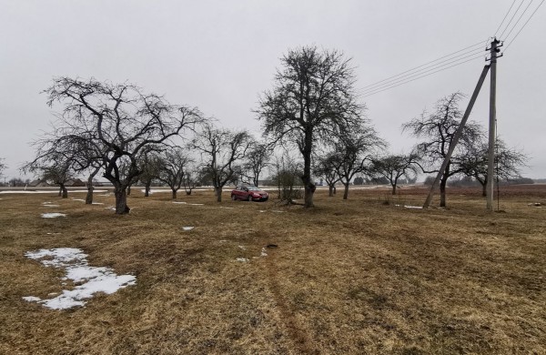 Sodybos su sklypu Normainių I k. 2, Žeimių sen., Jonavos r., pardavimo aukcionas