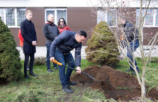 Verslo dovana miestui – įspūdinga magnolija