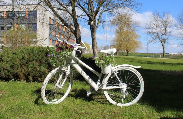 Nacionalinė Lietuvos bibliotekų savaitė: naujų formų paieška naujoje realybėje