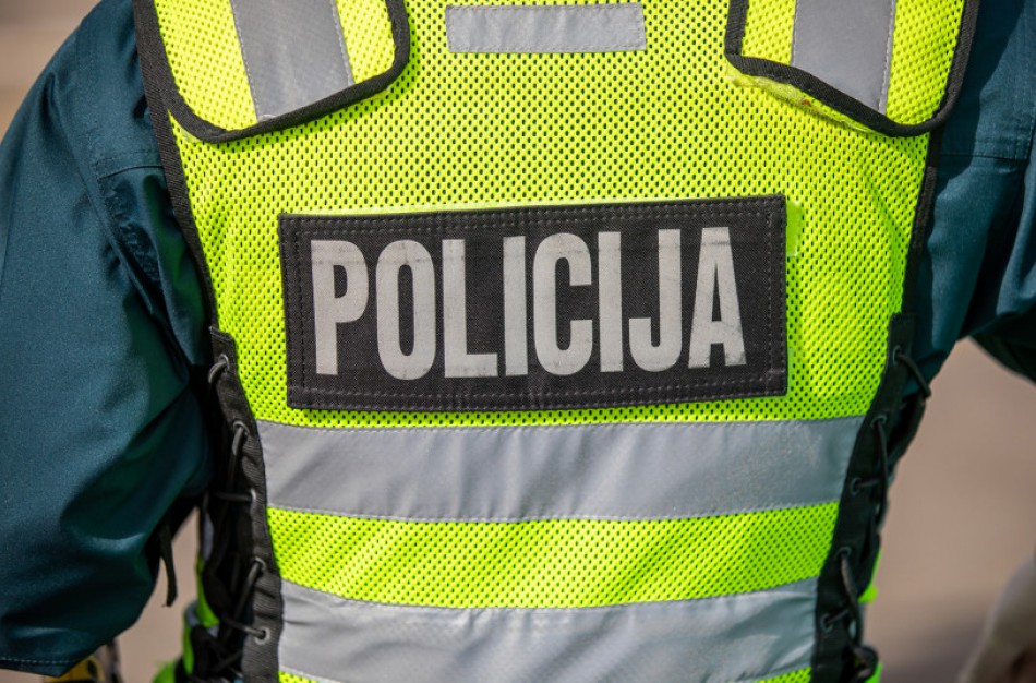 Vagišiai braunasi į kiemus: grobiu tapo kepsninė