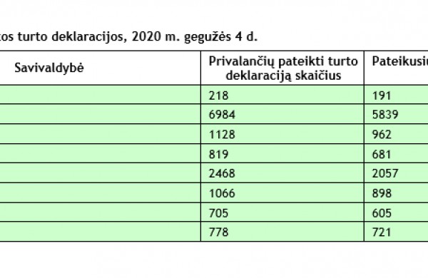 VMI: Baigėsi pirmasis nuotolinis pajamų deklaravimas