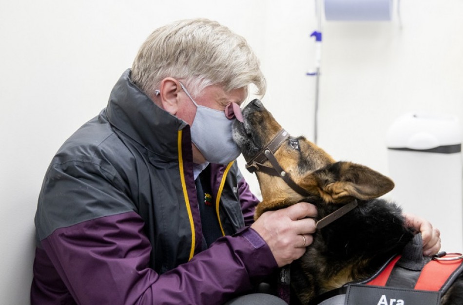 Auga susidomėjimas augintinių ženklinimu