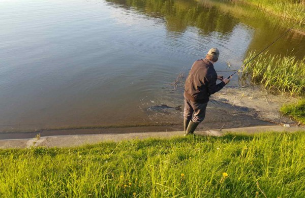 Skaitytojai užfiksavo įstabų kadrą: Jonavos tvenkinyje pagauta įspūdinga žuvis