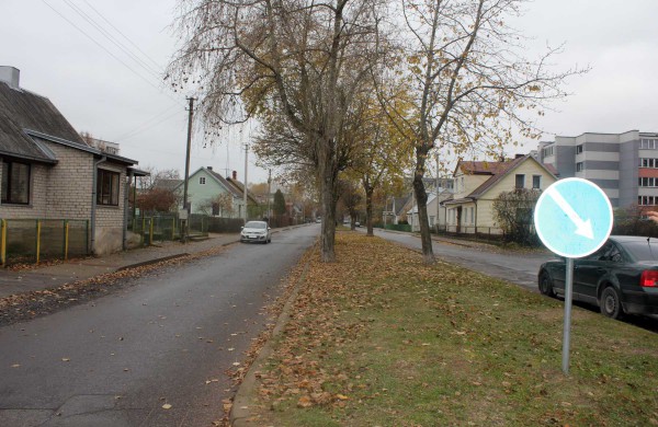 Miesto apžiūra: žaidimų aikštelėje trūksta apšvietimo, kalnas prie karių kapų virtęs vaikų pramogų zona