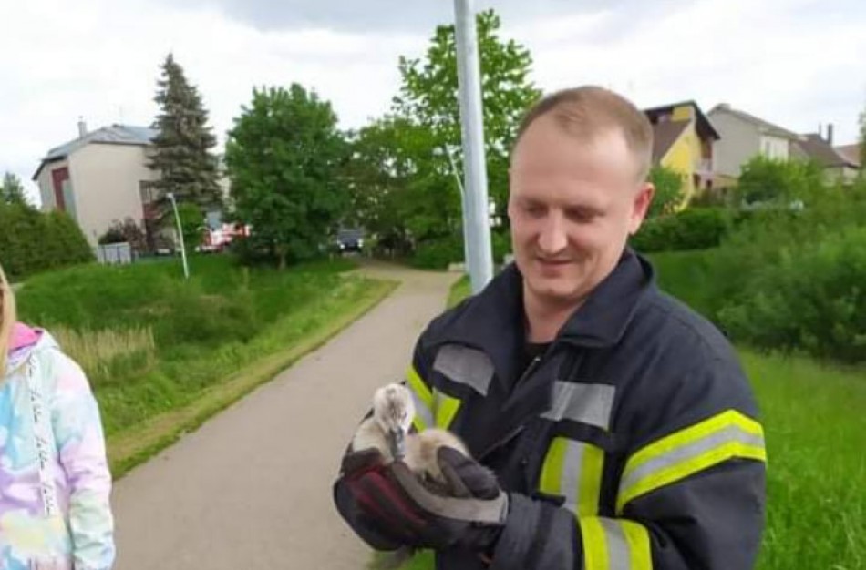 Ugniagesiams gelbėtojams teko gelbėti mažąjį Jonavos ,,simbolį"