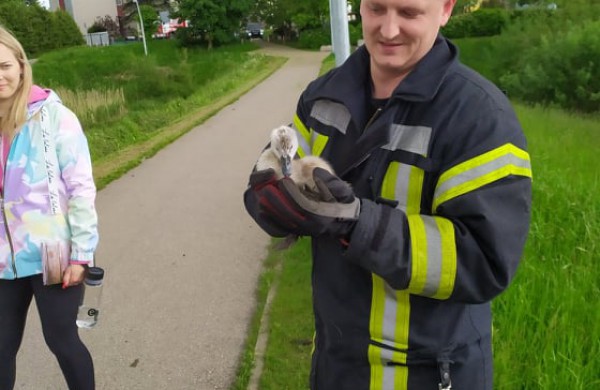 Ugniagesiams gelbėtojams teko gelbėti mažąjį Jonavos ,,simbolį"