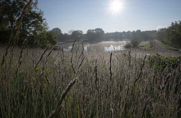 Jonavą ir jos apylinkes per fotoaparato objektyvą nuolat matanti V. Matačiūnienė: ,,Mūsų kraštas tik gražėja“