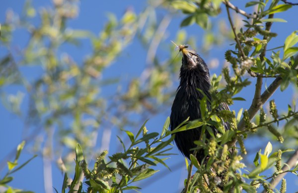 Jonavą ir jos apylinkes per fotoaparato objektyvą nuolat matanti V. Matačiūnienė: ,,Mūsų kraštas tik gražėja“