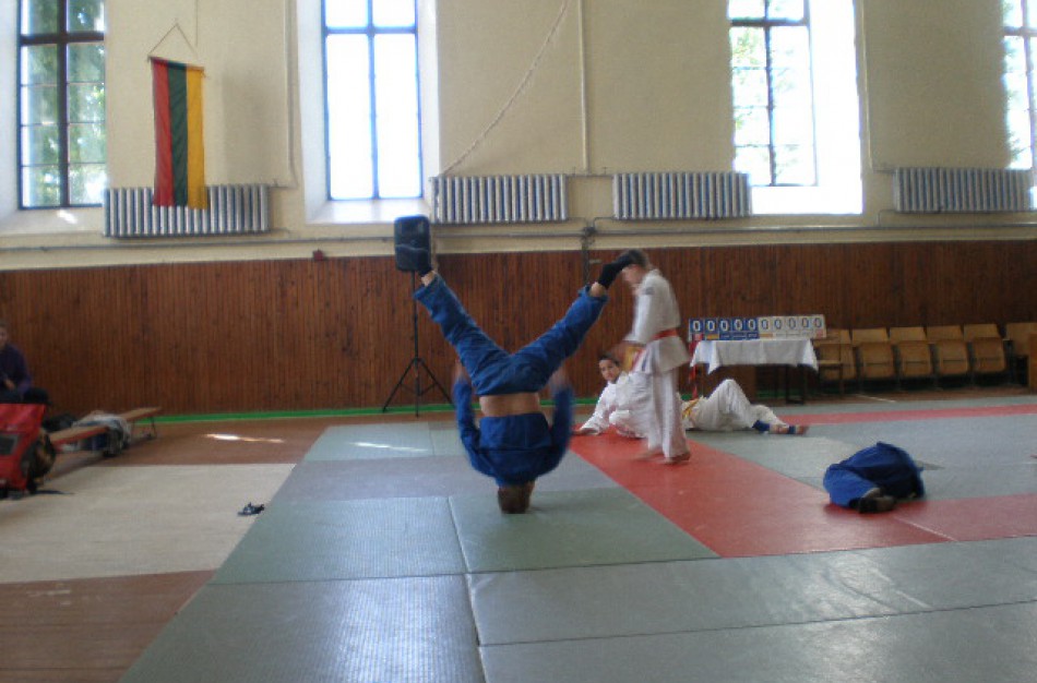 Už sporto būrelius teks mokėti daugiau