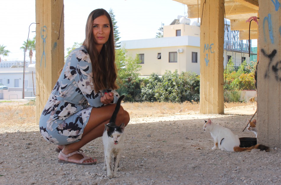 Per metus didžiuma šunų, kačių ir šeškų turės būti suženklinti – kaip tai padaryti miestų ir rajonų gyventojams?