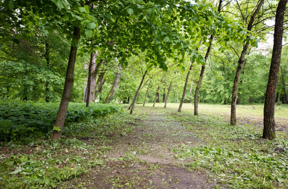 Viešoji konsultacija dėl visuomenės įsitraukimo į poveikio aplinkai vertinimo procedūras
