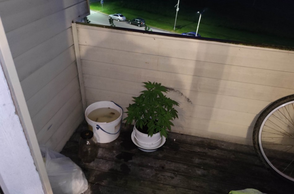 Savaitgalį Jonavoje – net keletas įkliuvusių su galimai narkotinėmis medžiagomis