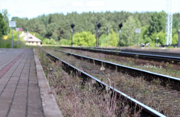 Gedulo ir vilties dienos minėjimas Jonavoje