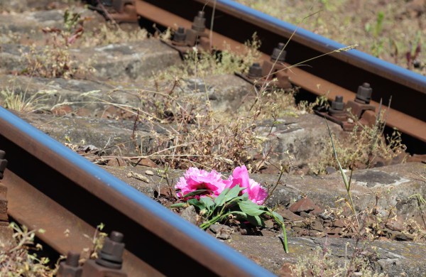 Gedulo ir vilties dienos minėjimas Jonavoje