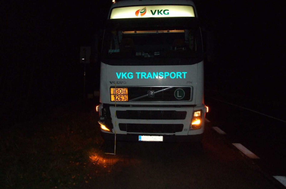 Vilkikas partrenkė ir mirtinai sužalojo Ruklos gyventoją