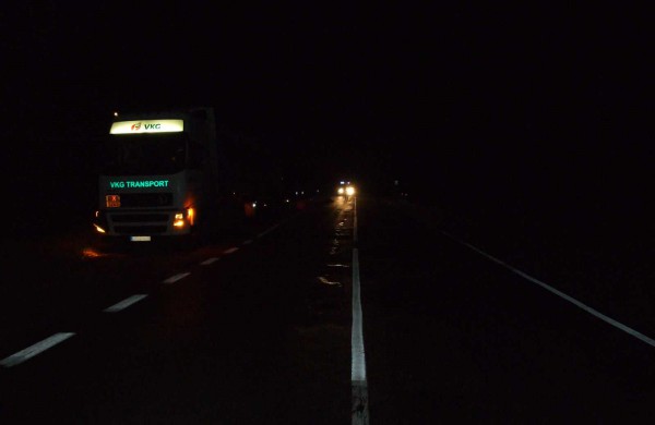 Vilkikas partrenkė ir mirtinai sužalojo Ruklos gyventoją