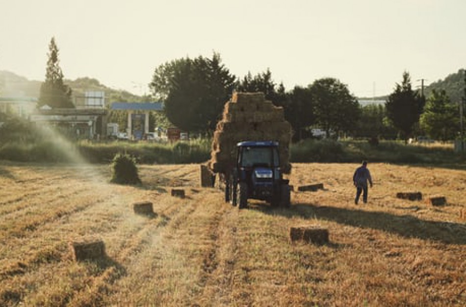 Psichologė: darbas vasaros metu paaugliui gali tapti puikiu startu į profesiją