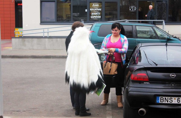 Jonaviečiams dalino lipdukus „Vairuoju blaivus, nes myliu jus“