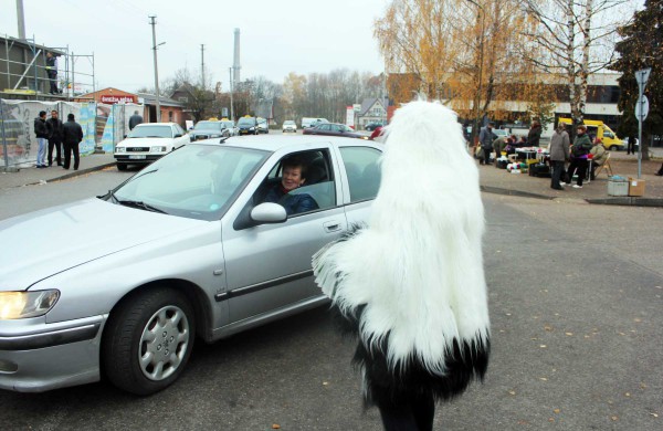 Jonaviečiams dalino lipdukus „Vairuoju blaivus, nes myliu jus“