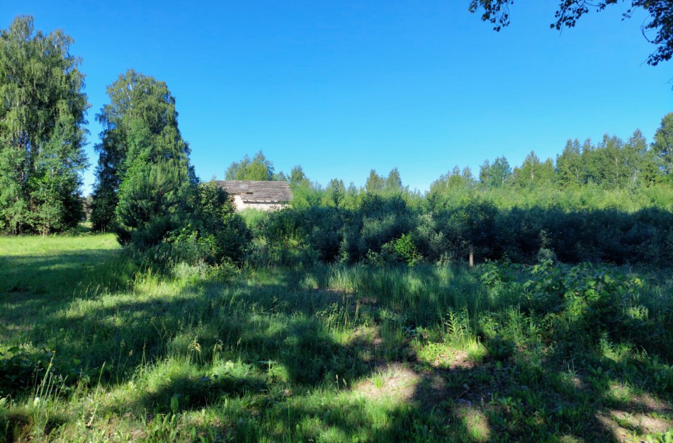 Sudarytas preliminarus 2021 m. Nenaudojamų, apleistų ar netinkamai naudojamų žemės sklypų sąrašas