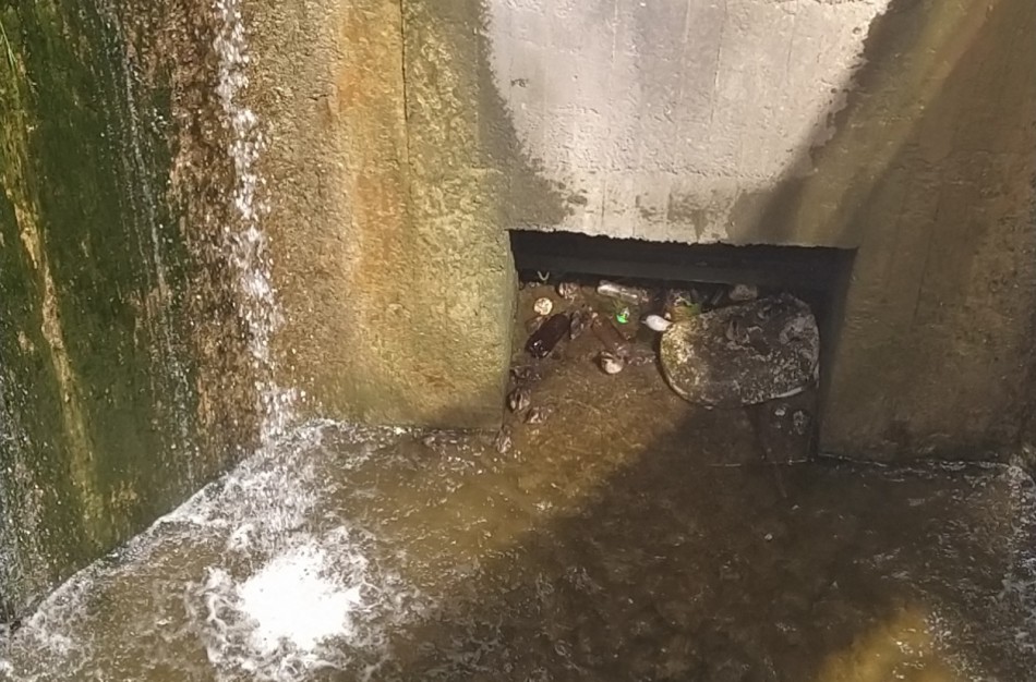 Miestiečiai nuogąstauja dėl ančiukų, kurie įkrenta į tvenkinio krioklį