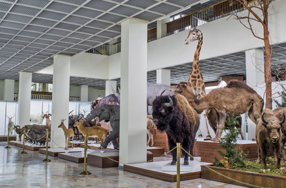 Gimtadienį švenčiančiame Kauno zoologijos muziejuje – nauji eksponatai