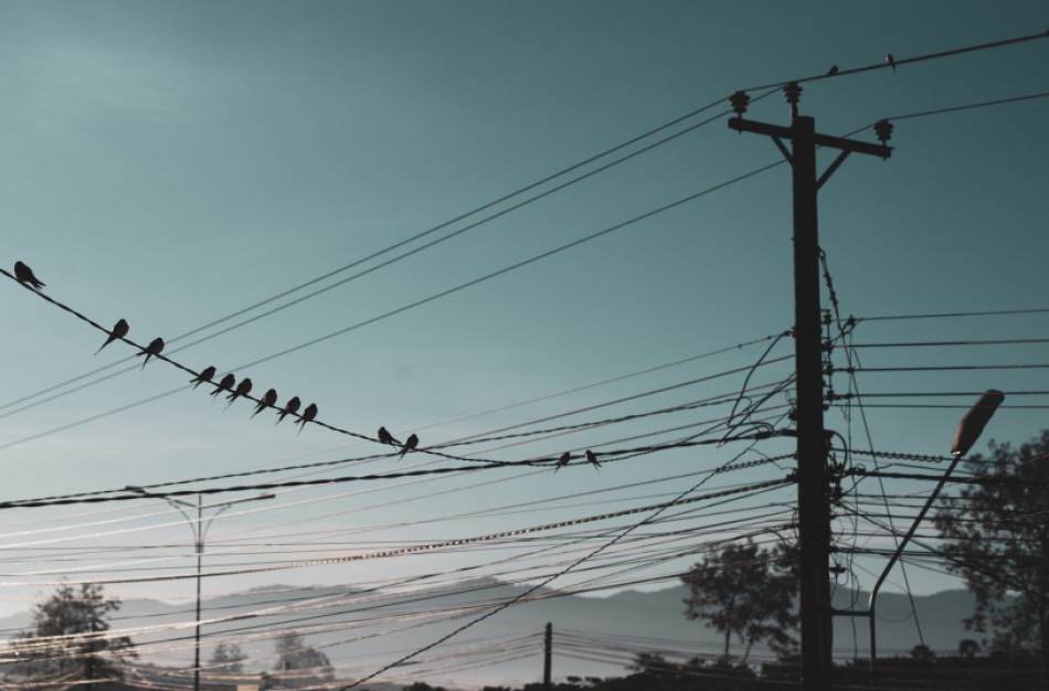 Nuo šiol - daugiau galimybių gyventojams keičiant elektros tiekėją