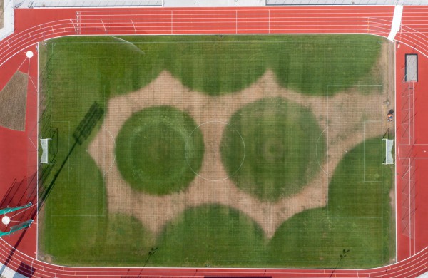 Meras prašo paaiškinti, kas atsitiko stadiono vejai?