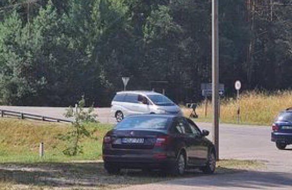 Suskubo kaltinti Jonavoje dirbusius pareigūnus, tačiau šie taisyklių nepažeidė