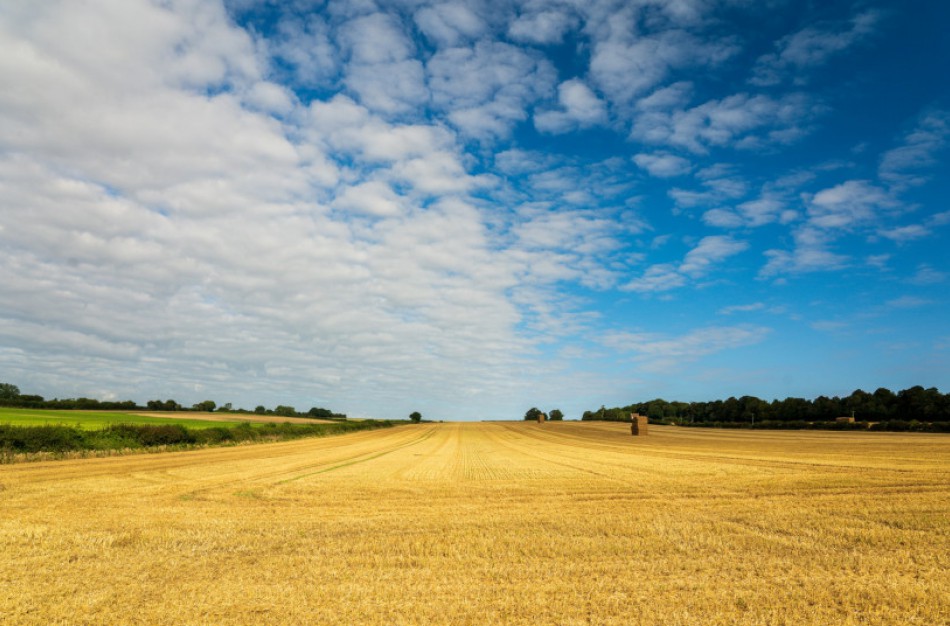 Aplinkosaugininkai primena: draudžiama deginti ražienas, žolę ir šiaudus