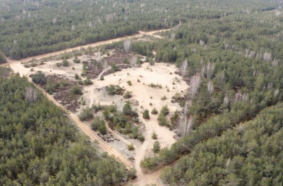 Dumsių kopoje ieškos saugotinų vertybių