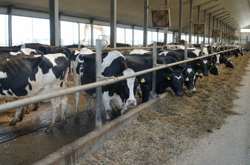 Žemės ūkio ir aplinkos ministrai skatina keisti mineralines trąšas organinėmis