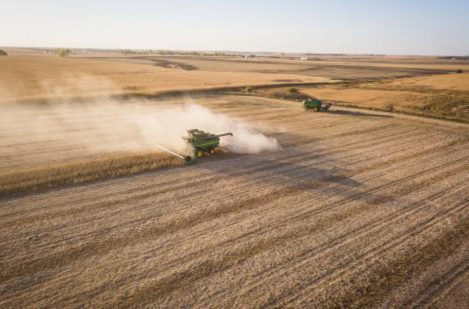 Įsibėgėjant javapjūtei VMVT pataria, kaip tinkamai sandėliuoti grūdus ir neprarasti derliaus