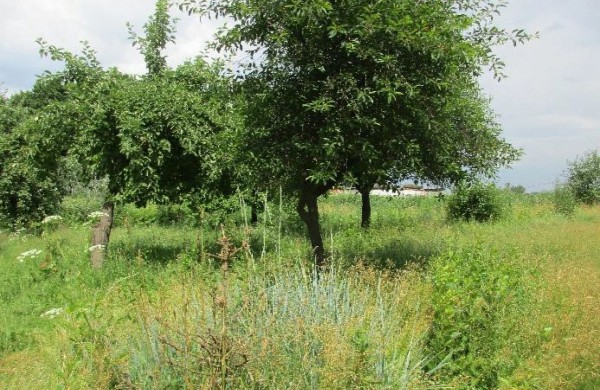 Buto su priklausiniais ir sklypo dalimi Koncepto k. 6-3, Šilų sen., pardavimo aukcionas