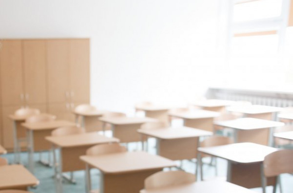 Skelbiami konkursai į Ruklos ir Kulvos mokyklų vadovų pareigas