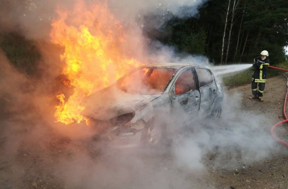 Gaižiūnų kaimo miške degė „Peugeot 206“