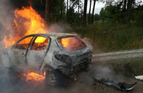 Gaižiūnų kaimo miške degė „Peugeot 206“