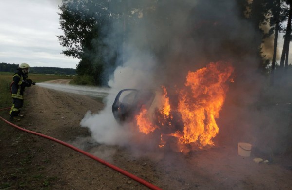 Gaižiūnų kaimo miške degė „Peugeot 206“